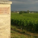 The vineyards near our luxury holiday rental for 6 or 10, in Puligny-Montrachet, Burgundy
