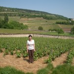 Bachey legros The vineyards near our luxury vacation rental for six or 10 in Puligny Montrachet, near Beaune, Burgundy