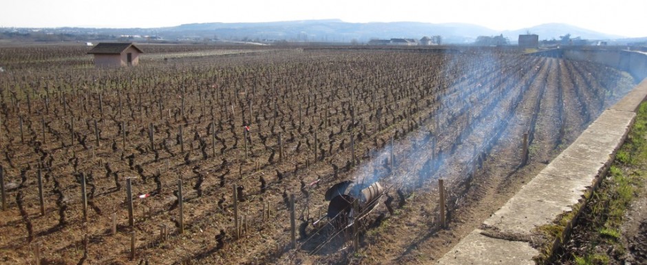 Vineyards near 10pm, our luxury holiday rental for 6 or 10, in Puligny Montrachet, near Beaune, Burgundy