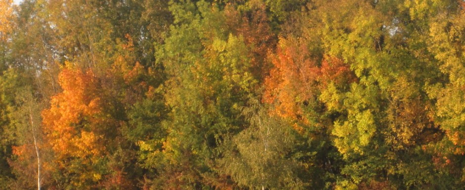 Autumn is a perfect time to stay at our luxury holiday rental in Burgundy (Puligny Montrachet)