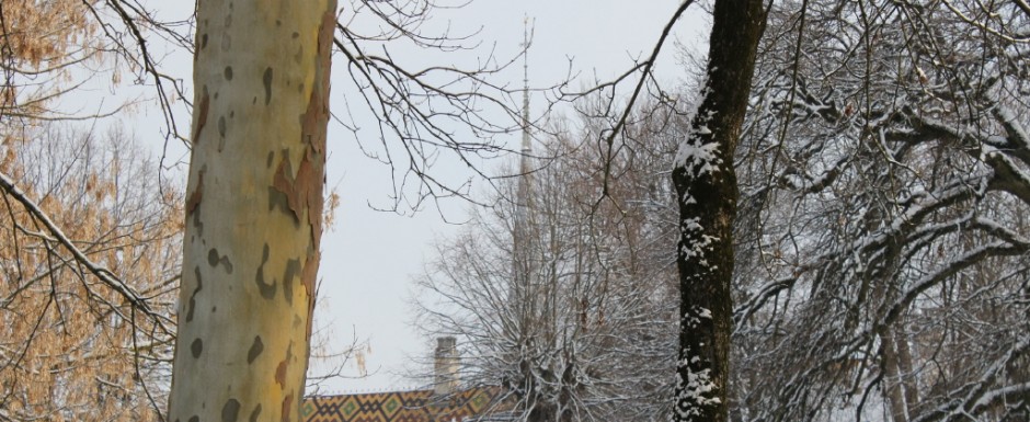 Winter is a great time to photograph the architecture in Burgundy. We often do this when visiting our holiday home in Puligny Montrachet.