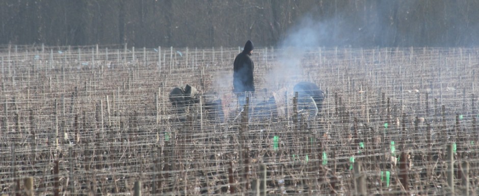 We stay at our holiday house in Puligny Montrachet so that we can see the work going on in the vineyards at close quarters. This is Meursault.