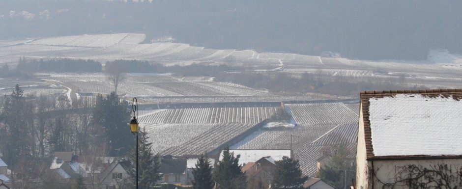 Things to do in Burgundy in winter? Photography is one of our favourite passtimes when staying at our holiday home in Puligny Montrachet