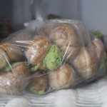 When we holiday in Burgundy, we get our escargots from the charcuterie in Meursault, the next village to Puligny Montrachet