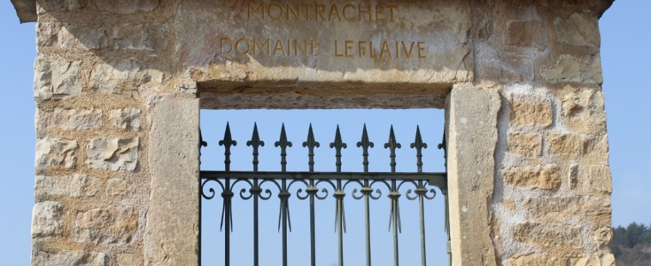 We are so very priviledged to have a holiday home in Puligny Montrachet where the best white wine makers in the world also live and work.