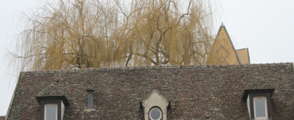 Collecting glimpses is a psstime of ours when we visit Beaune from our holiday house in Puligny Montrachet