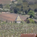 A very fine Burgundian roof with all its colours in antenay, a few kilometers from our holiday house in Puligny