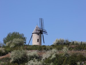 A very pretty windmill between Domaine Bachey-Legros in Santenay and 10 Puligny Montrachet where we come for our holidays