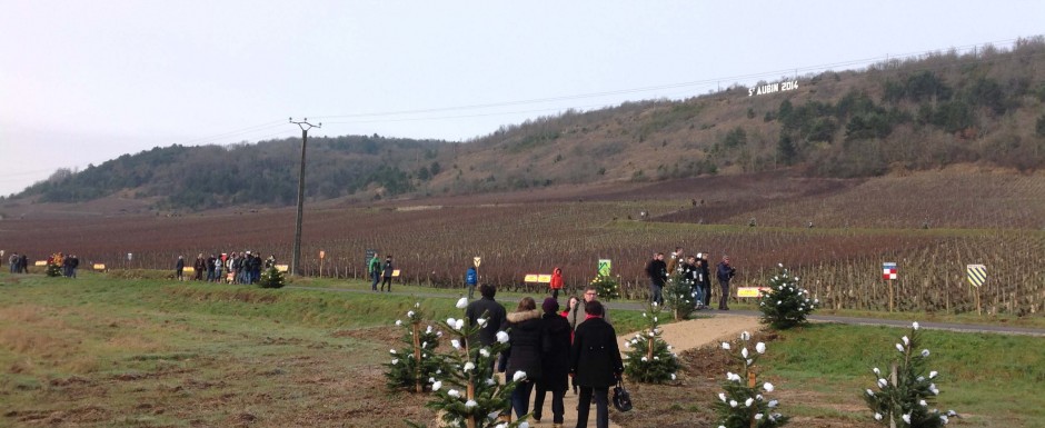 winter slider Saint Vincent celebrations near our luxury vacation rental in Puligny Montrachet, Burgundy