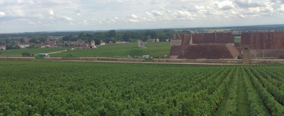 The vendanges near our luxury holiday home in Puligny Montrachet, near Beaune, Burgundy