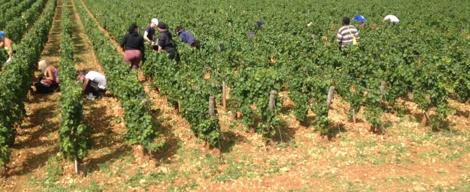 The Vendanges near 10pm, our luxury vacation rental in Puligny Montrachet, near Beaune, Burgundy