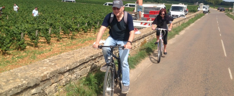 The vendanges near our luxury holiday home in Puligny Montrachet, near Beaune, Burgundy