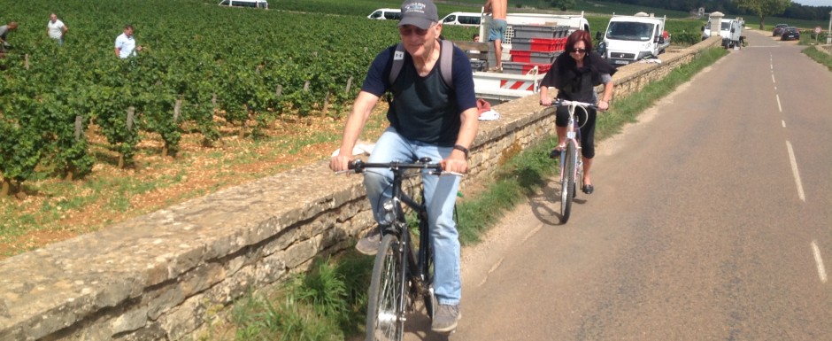 The vendanges near our luxury holiday home in Puligny Montrachet, near Beaune, Burgundy